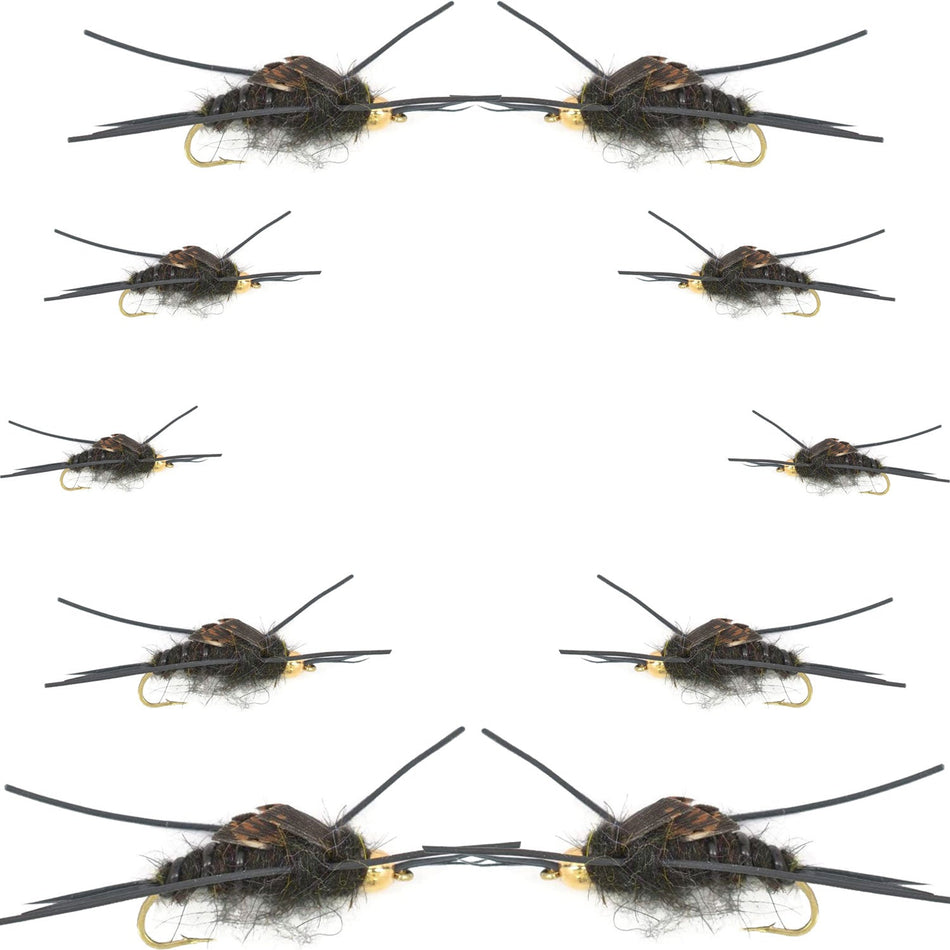 Basics Collection - Kaufmann's Tungsten Bead Black Stonefly Nymph Assortment 10 Bead Head Rubber Legs Wet Flies - 2 Each Hook Sizes 4, 6, 8, 10, and 12 - Get Tight Gear