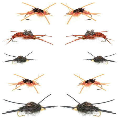 Basics Collection - Kaufmann's Tungsten Bead Stonefly Nymph Assortment - 10 Bead Head Rubber Legs Wet Flies - 5 Patterns - Hook Sizes 4, 6, 8, 10, and 12 - Get Tight Gear