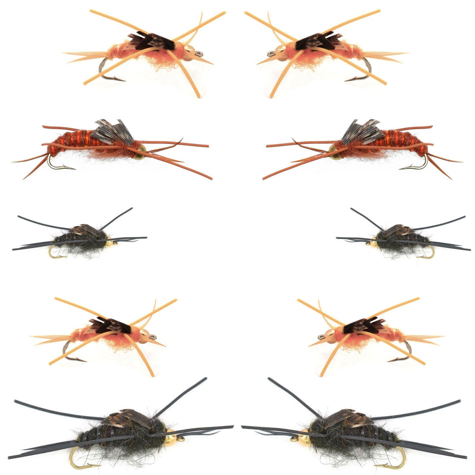 Basics Collection - Kaufmann's Tungsten Bead Stonefly Nymph Assortment - 10 Bead Head Rubber Legs Wet Flies - 5 Patterns - Hook Sizes 4, 6, 8, 10, and 12 - Get Tight Gear
