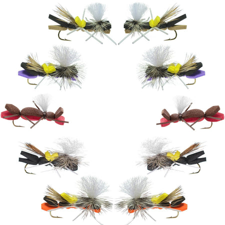 Basics Collection - Parachute Chernobyl Ant Foam Dry Fly Assortment - 10 Dry Fishing Grasshopper Dropper Flies - 5 Patterns - Hook Size 10 - Get Tight Gear