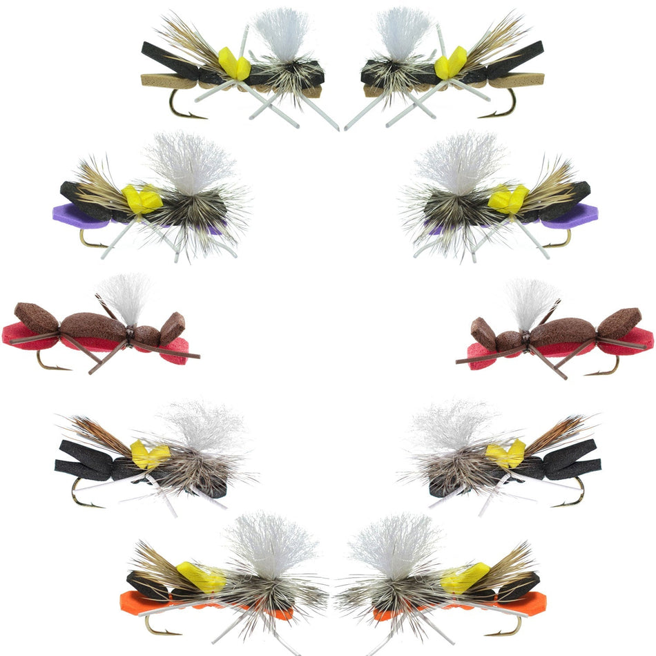 Basics Collection - Parachute Chernobyl Ant Foam Dry Fly Assortment - 10 Dry Fishing Grasshopper Dropper Flies - 5 Patterns - Hook Size 10 - Get Tight Gear