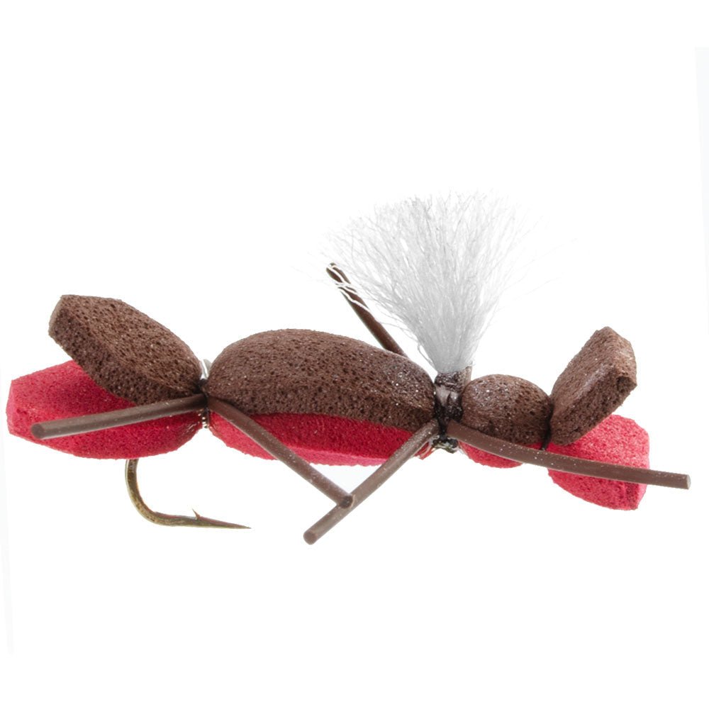 Basics Collection - Parachute Chernobyl Ant Foam Dry Fly Assortment - 10 Dry Fishing Grasshopper Dropper Flies - 5 Patterns - Hook Size 10 - Get Tight Gear