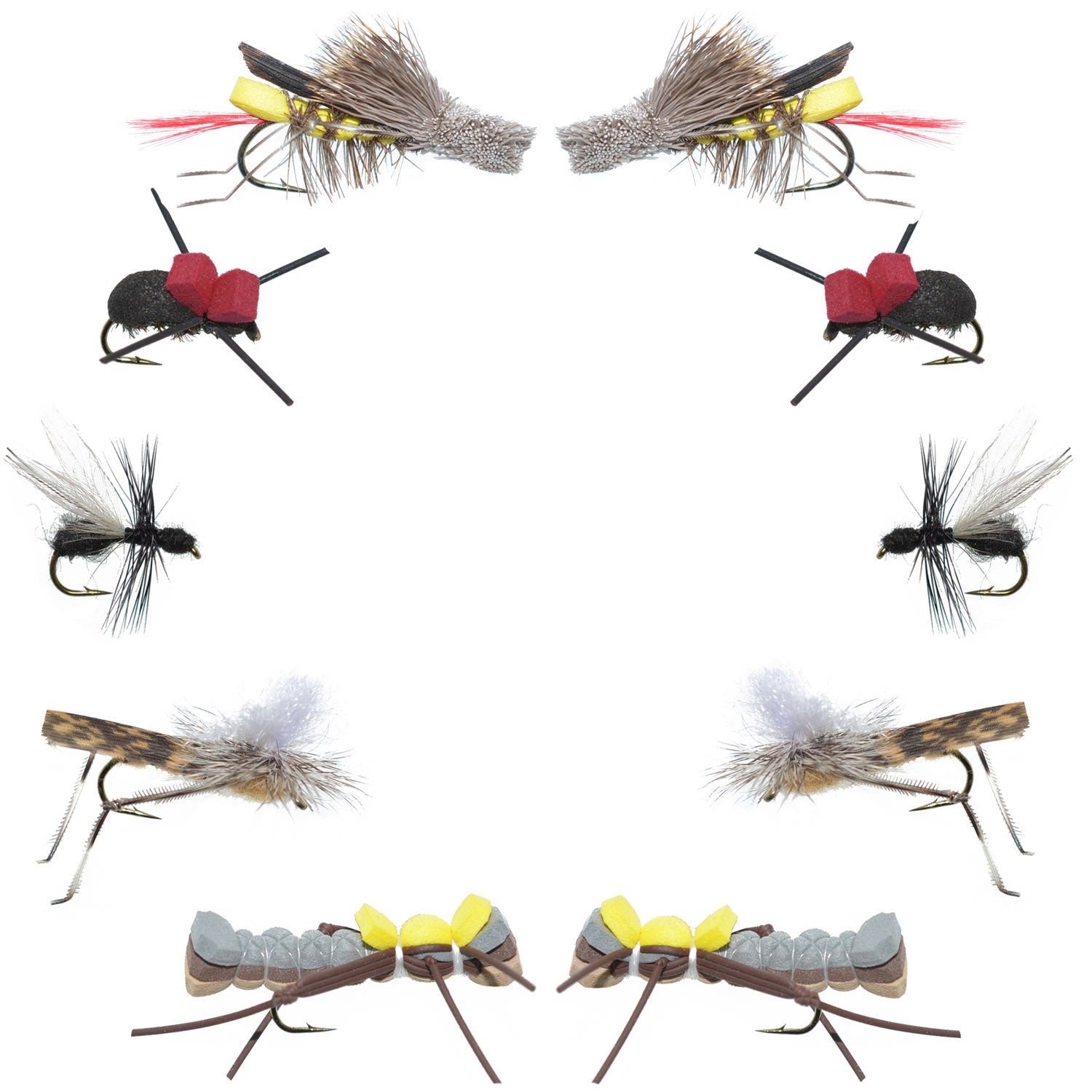 Basics Collection - Terrestrials Dry Fly Assortment - 10 Dry Fishing Flies - Hopper, Ant and Beetle Fishing Fly Patterns - Hook Sizes 10, 12 and 14 - Get Tight Gear