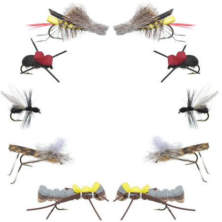 Basics Collection - Terrestrials Dry Fly Assortment - 10 Dry Fishing Flies - Hopper, Ant and Beetle Fishing Fly Patterns - Hook Sizes 10, 12 and 14 - Get Tight Gear
