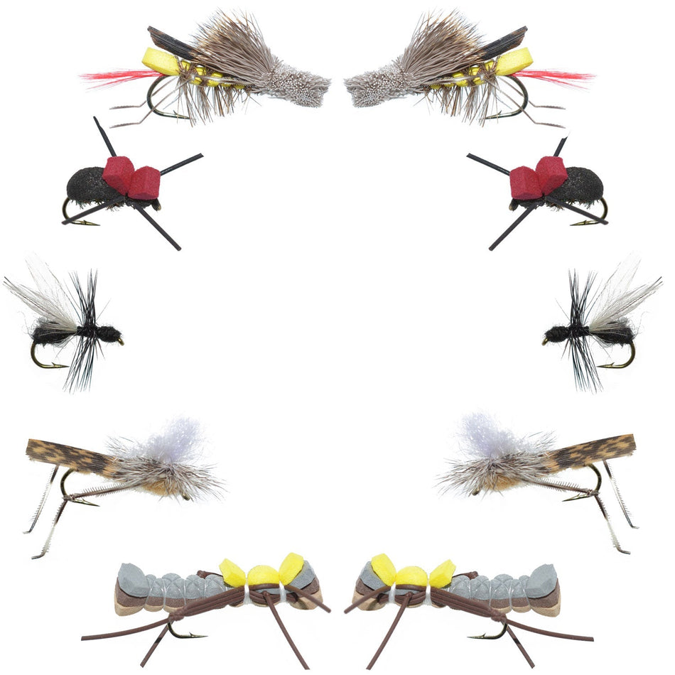 Basics Collection - Terrestrials Dry Fly Assortment - 10 Dry Fishing Flies - Hopper, Ant and Beetle Fishing Fly Patterns - Hook Sizes 10, 12 and 14 - Get Tight Gear