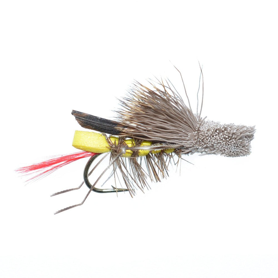 Basics Collection - Terrestrials Dry Fly Assortment - 10 Dry Fishing Flies - Hopper, Ant and Beetle Fishing Fly Patterns - Hook Sizes 10, 12 and 14 - Get Tight Gear