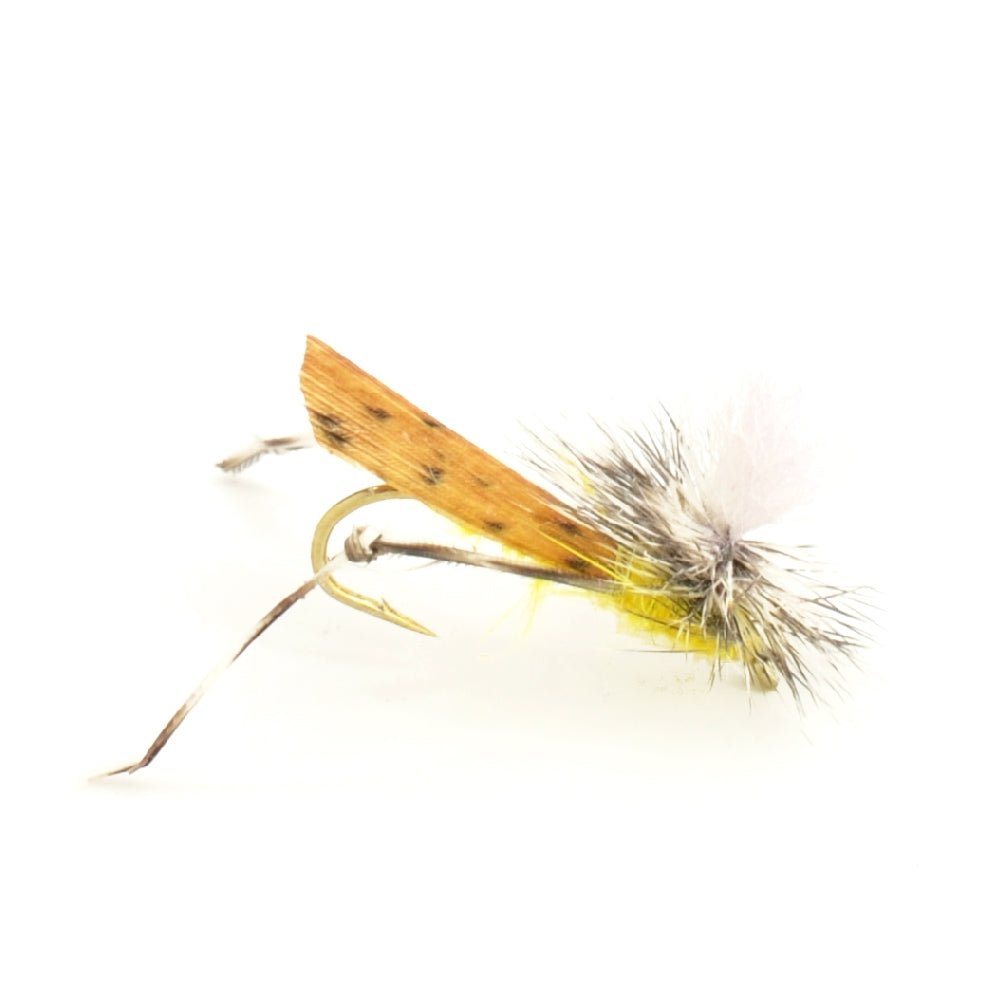 Basics Collection - Terrestrials Dry Fly Assortment - 10 Dry Fishing Flies - Hopper, Ant and Beetle Fishing Fly Patterns - Hook Sizes 10, 12 and 14 - Get Tight Gear