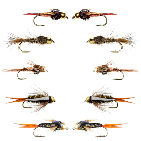 Basics Collection - Tungsten Bead Head Nymph Assortment - 10 Wet Flies - 5 Patterns - Hook Sizes 10, 12, 14, 16 - Get Tight Gear