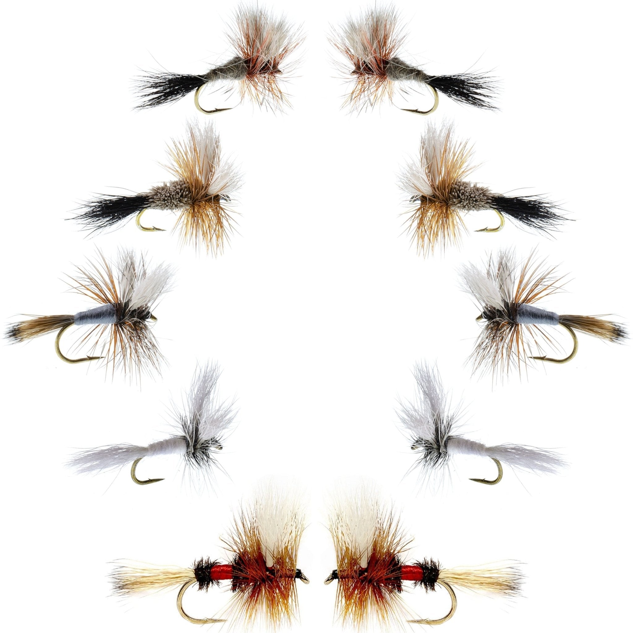 Basics Collection - Wulff Dry Fly Assortment - 10 Dry Fishing Flies - 5 Patterns - Hook Sizes 10, 12, 14 - Get Tight Gear