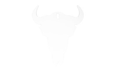 B/C AR500 3/8 SILHOUETTE SKULL WHT - Get Tight Gear