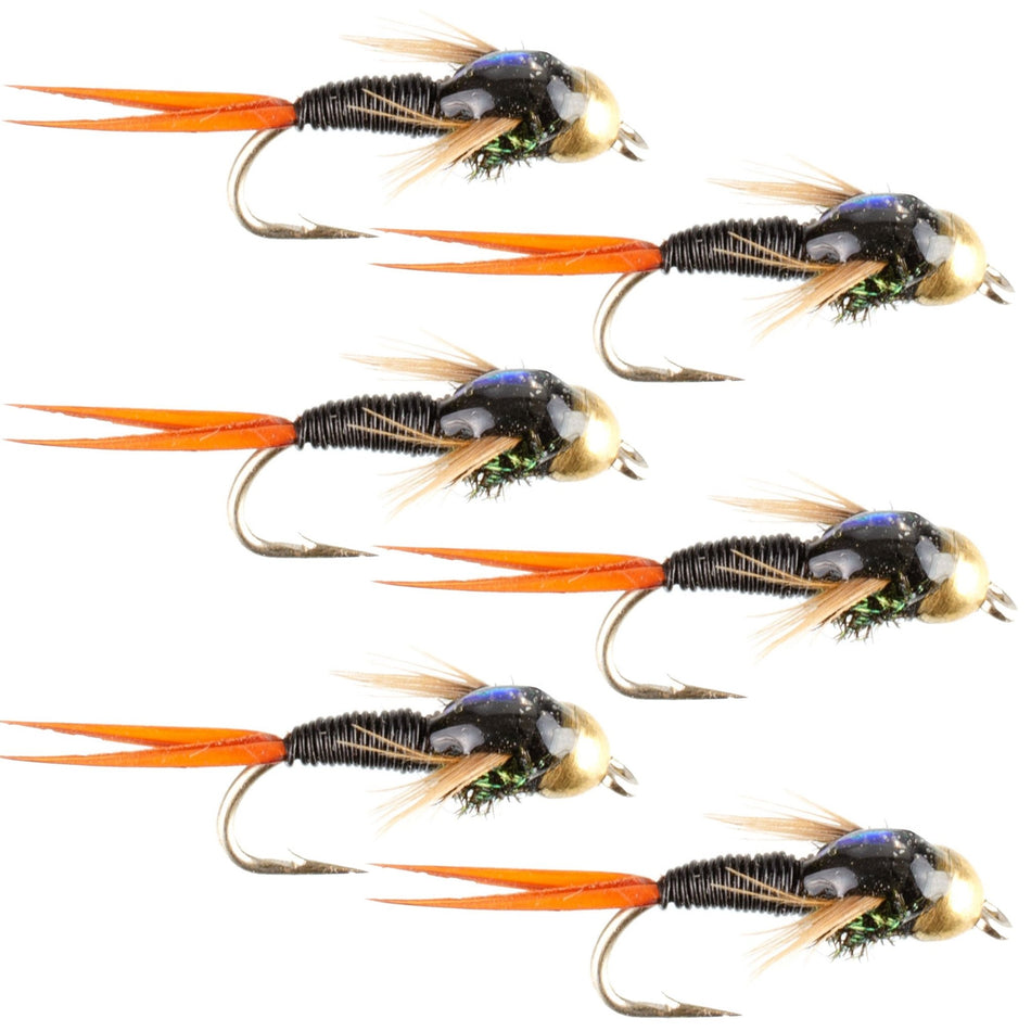 Bead Head Black Copper John Nymph Fly Fishing Flies - Set of 6 Flies Hook Size 14 - Get Tight Gear