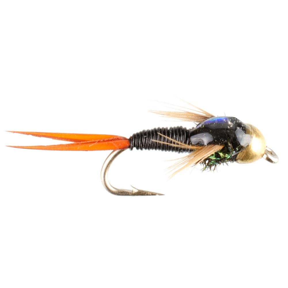 Bead Head Black Copper John Nymph Fly Fishing Flies - Set of 6 Flies Hook Size 16 - Get Tight Gear