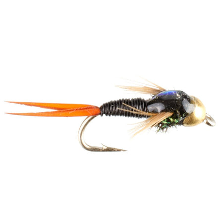 Bead Head Black Copper John Nymph Fly Fishing Flies - Set of 6 Flies Hook Size 16 - Get Tight Gear