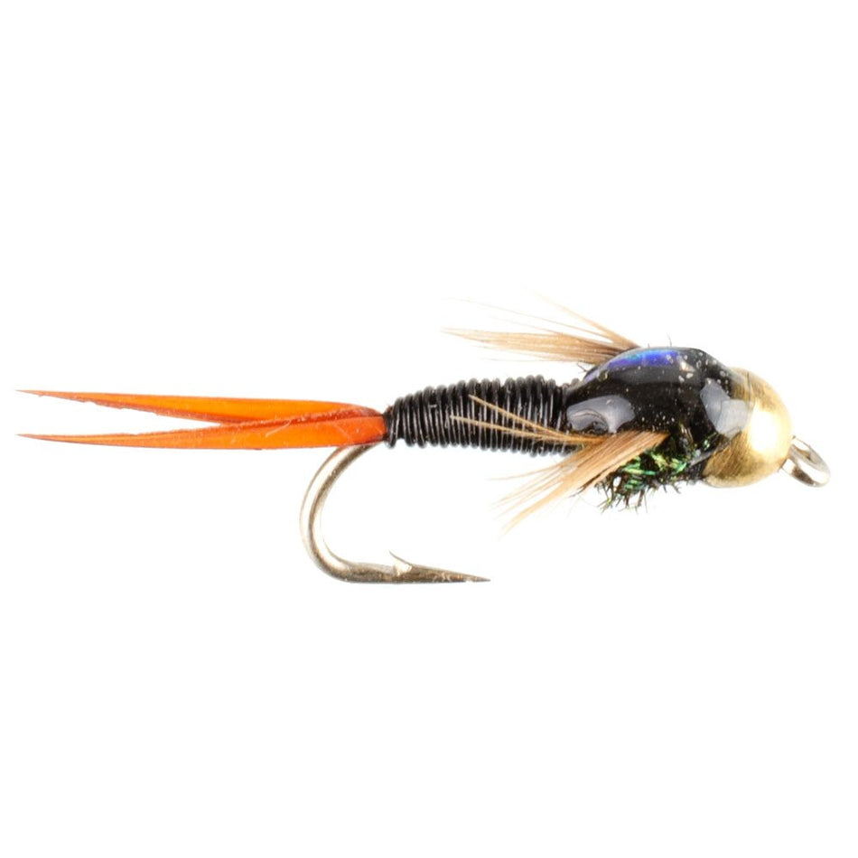 Bead Head Black Copper John Nymph Fly Fishing Flies - Set of 6 Flies Hook Size 18 - Get Tight Gear