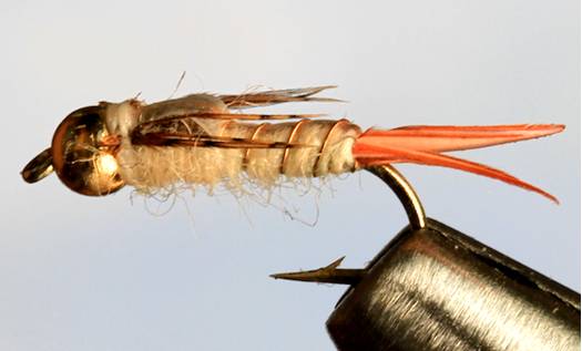 Bead Head Emerger™ - Get Tight Gear