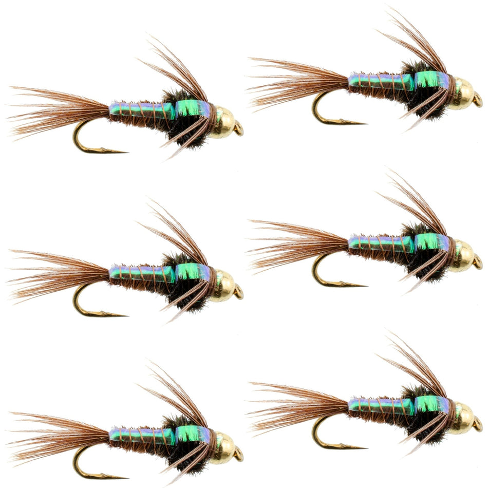 Bead Head Flash Back Pheasant Tail Nymph Fly Fishing Flies - 6 Flies Hook Size 10 - Get Tight Gear