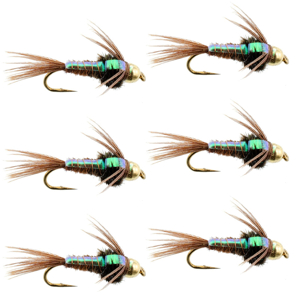 Bead Head Flash Back Pheasant Tail Nymph Fly Fishing Flies - 6 Flies Hook Size 12 - Get Tight Gear