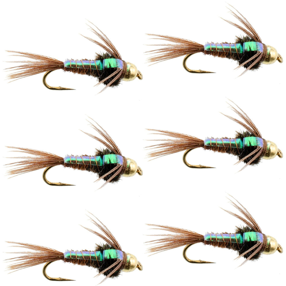 Bead Head Flash Back Pheasant Tail Nymph Fly Fishing Flies - 6 Flies Hook Size 16 - Get Tight Gear