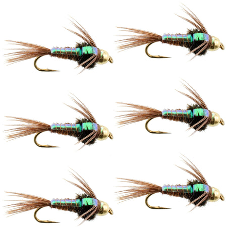 Bead Head Flash Back Pheasant Tail Nymph Fly Fishing Flies - 6 Flies Hook Size 18 - Get Tight Gear