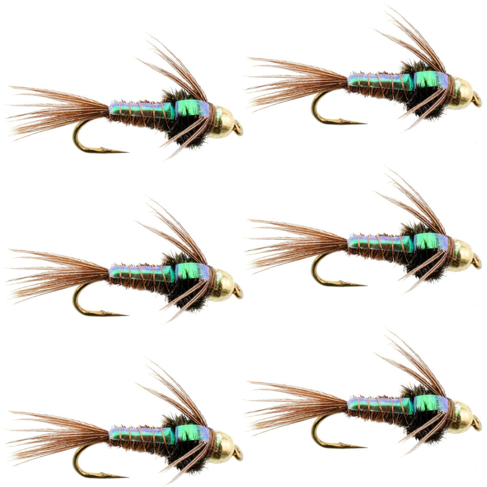 Bead Head Flash Back Pheasant Tail Nymph Fly Fishing Flies - 6 Flies Hook Size 18 - Get Tight Gear