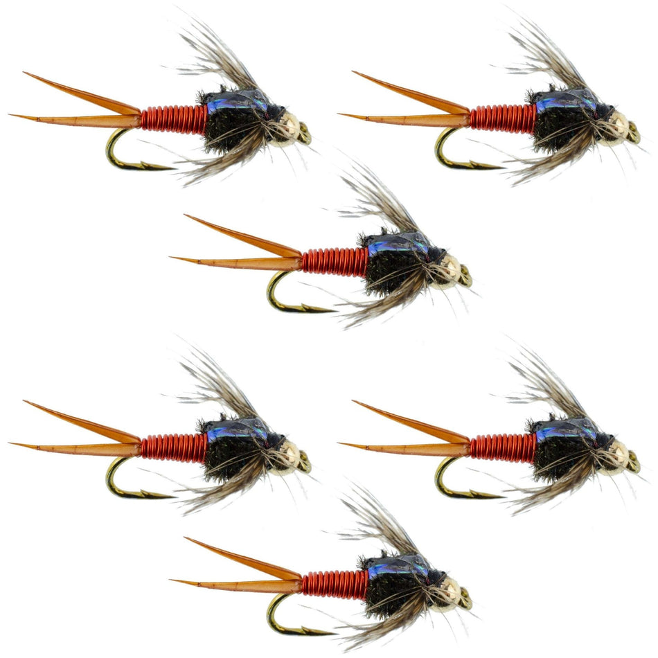 Bead Head Hot Orange Copper John Nymph - 6 Fly Fishing Flies - Hook Size 10 - Get Tight Gear