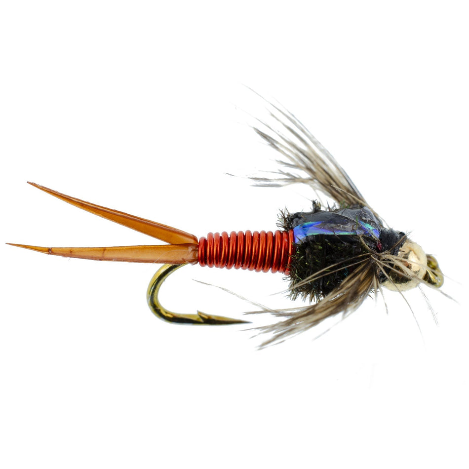 Bead Head Hot Orange Copper John Nymph - 6 Fly Fishing Flies - Hook Size 12 - Get Tight Gear