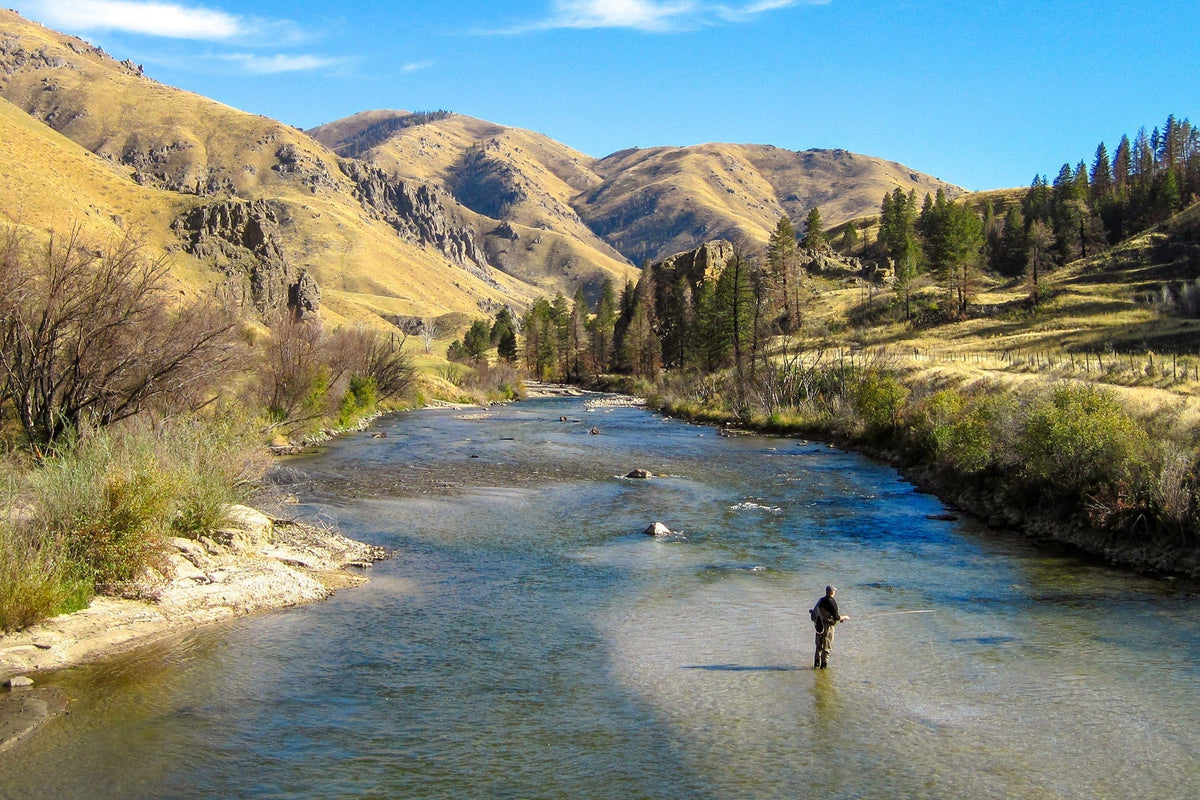 Bead Head Prince Nymph Fly Fishing Flies - Set of 6 Flies Hook Size 10 - Get Tight Gear