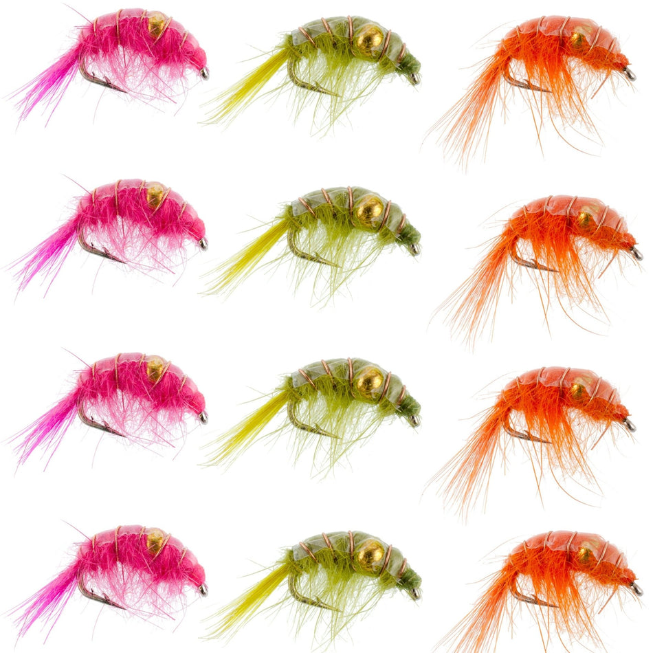 Beaded Shrimp Scud Assortment - 1 Dozen - 4 Each of 3 Patterns Size 12 - Tailwater Lake Fly Fishing Flies Collection - Get Tight Gear