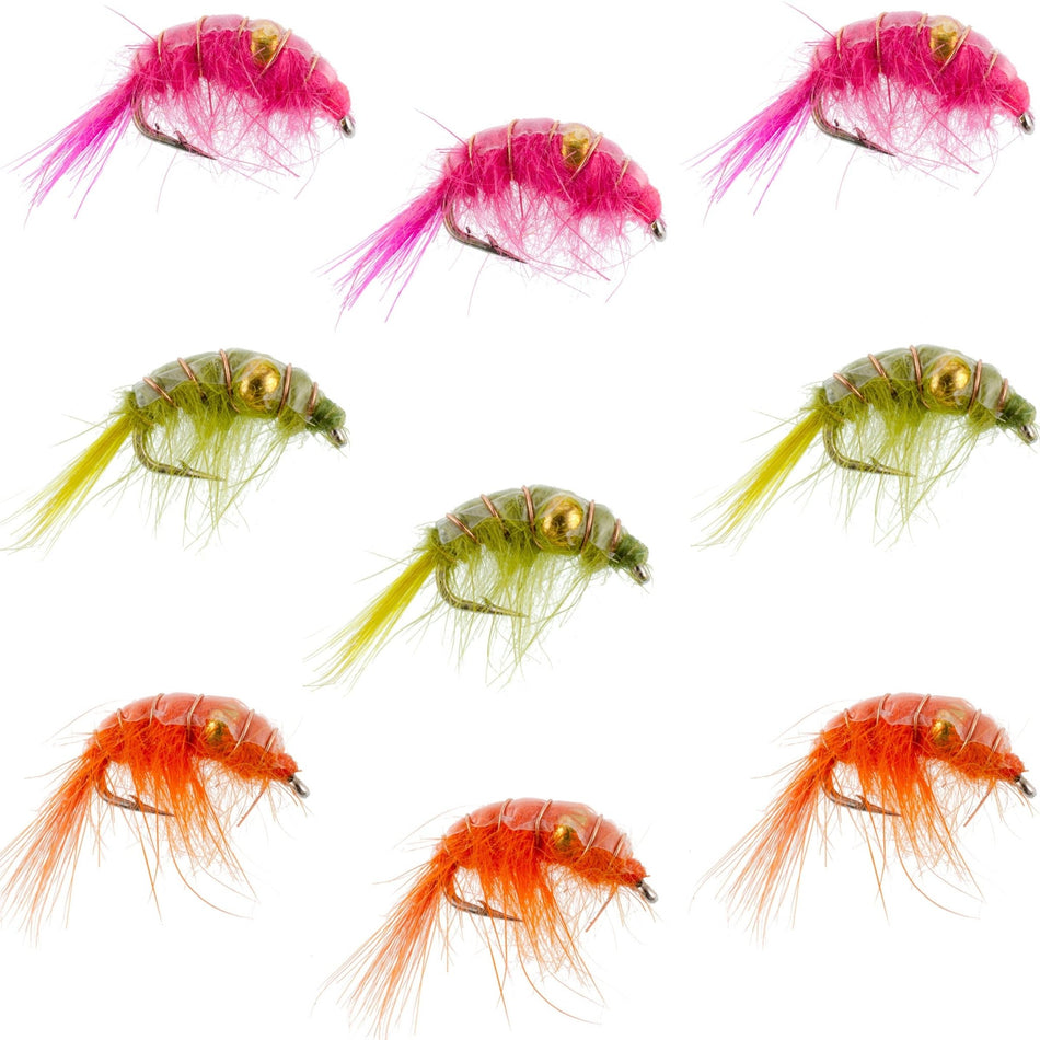 Beaded Shrimp Scud Assortment - 9 Flies - 3 Each of 3 Patterns Size 12 - Tailwater Lake Fly Fishing Flies Collection - Get Tight Gear