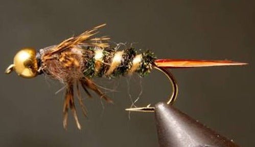 BH 20 Incher Stonefly Nymph - Get Tight Gear