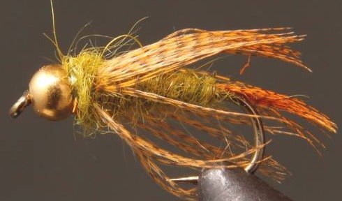 BH Birds Nest - Olive - Get Tight Gear