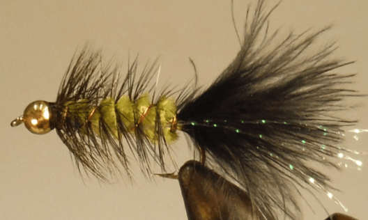 BH Bugger - Olive/Black - Get Tight Gear