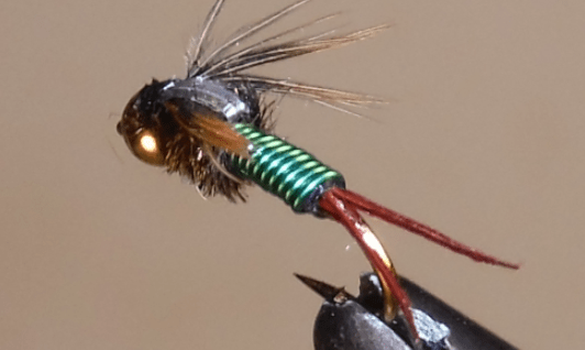 BH Copper John - 7 Colors - Get Tight Gear