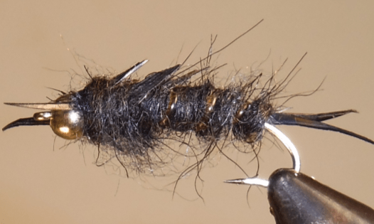 BH Giant Stonefly Nymphs - Get Tight Gear
