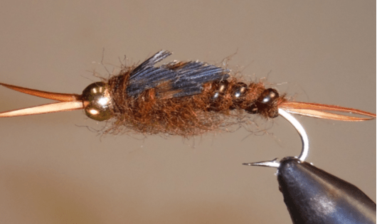 BH Giant Stonefly Nymphs - Get Tight Gear