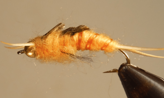 BH Giant Stonefly Nymphs - Get Tight Gear