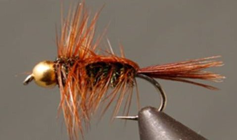BH Halfback Stonefly Nymph - Get Tight Gear