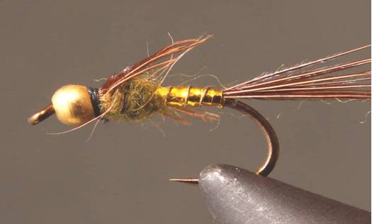 BH Lightning Bug - Gold - Get Tight Gear