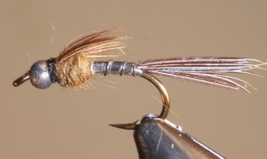 BH Lightning Bug - Silver - Get Tight Gear