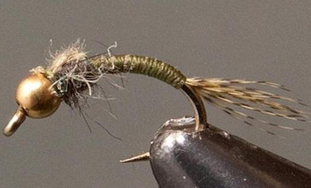 BH Olive WD - 40 - Get Tight Gear