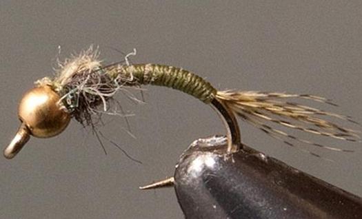 BH Olive WD - 40 - Get Tight Gear