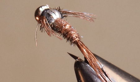 BH Pheasant Tail - 3 Styles - Get Tight Gear