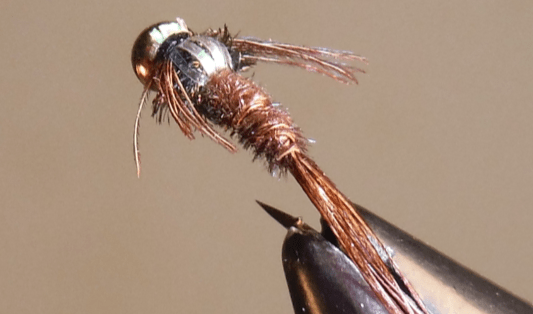 BH Pheasant Tail - 3 Styles - Get Tight Gear