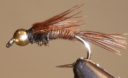 BH Pheasant Tail - 3 Styles - Get Tight Gear