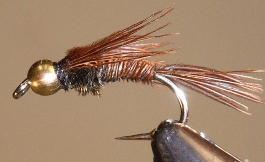 BH Pheasant Tail - 3 Styles - Get Tight Gear