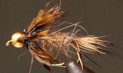 BH Red Fox Squirrel - Get Tight Gear