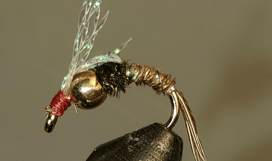 BH Sparkle Back PT - Get Tight Gear