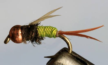 BH Ultra Prince - 5 Colors - Get Tight Gear