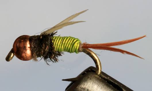 BH Ultra Prince - 5 Colors - Get Tight Gear