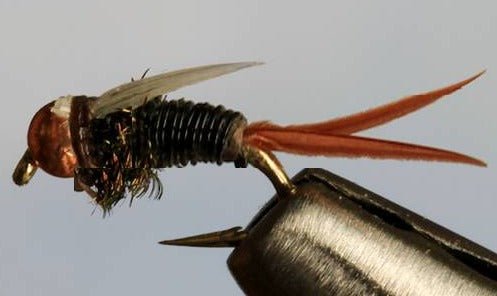 BH Ultra Prince - 5 Colors - Get Tight Gear